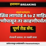 डाळिंब लागवडीचे महत्त्व आणि महाराष्ट्रातील परिस्थिती 1 Havaman Andaj Today dalimb lagwad marathi guide
